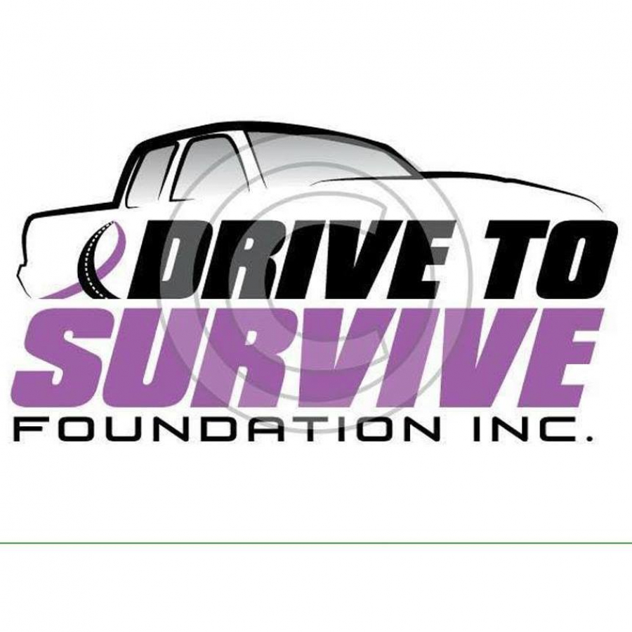 Drive to Survive Foundation